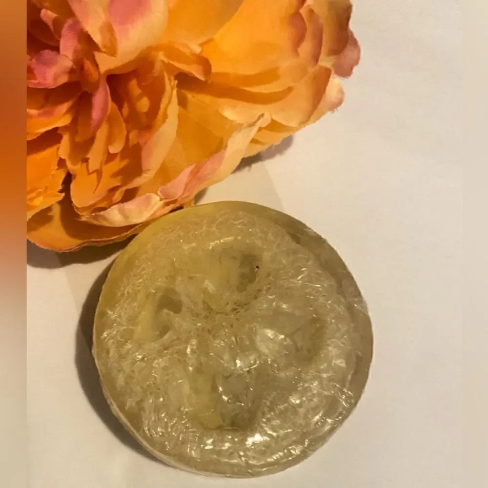 🛍️LOOFAH SOAP Lavender Citrus 🍊 Coconut Scent Soap 3.5OZ LOT OF 2💥